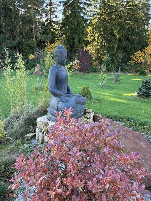 WhatsApp-Image-2025-10-29-at-13.41.30-4-