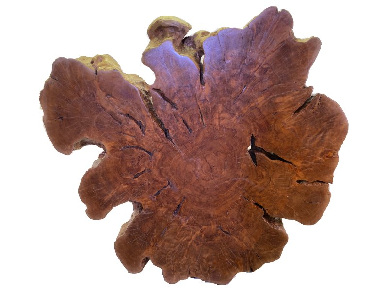 Deska Lychee - Litchi