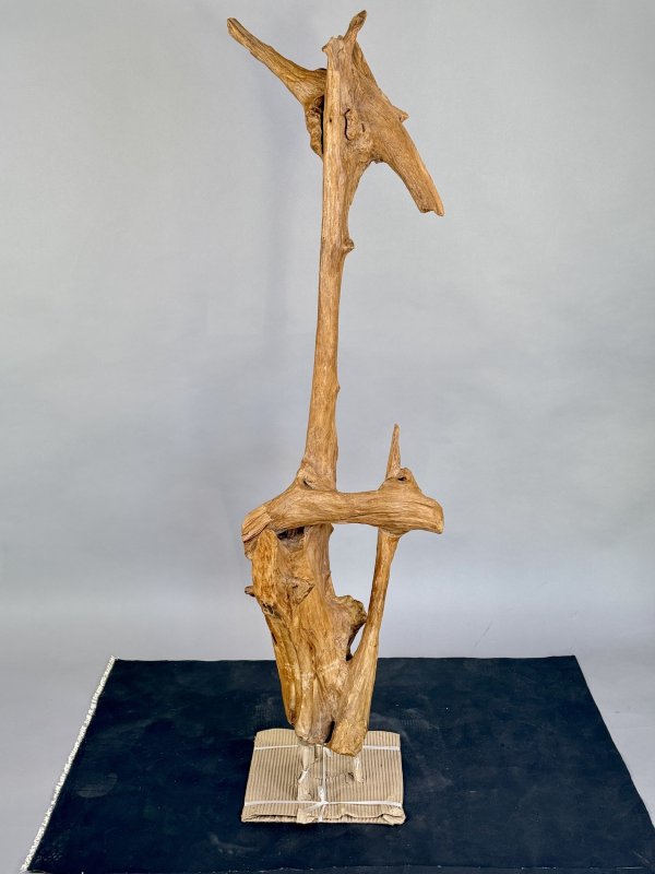Skulptura naplavený Teak 145 cm