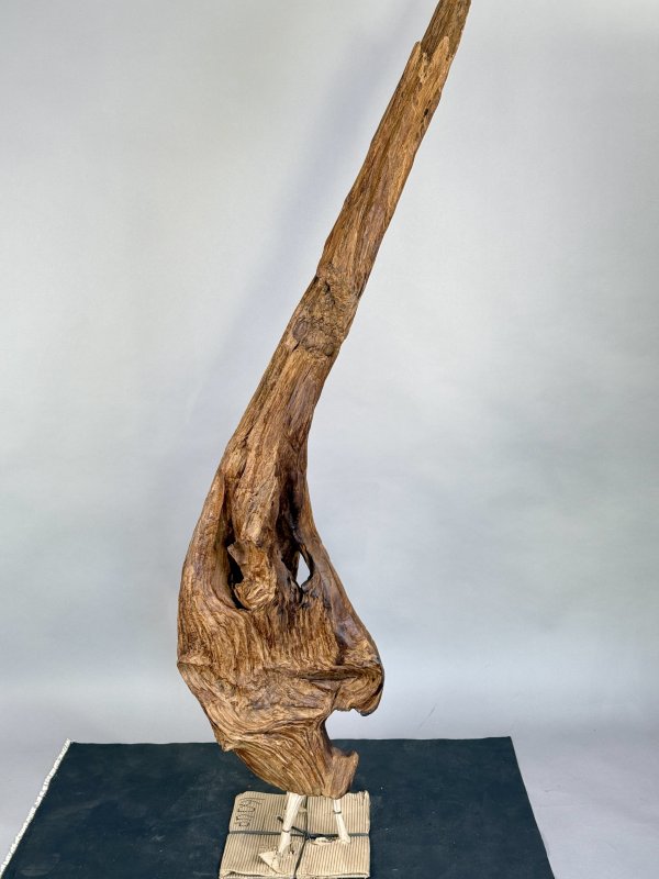 Designový teakový kořen na černém stojanu 172 cm