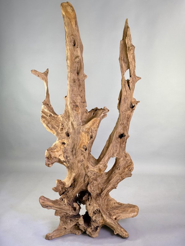Teaková skulptura z kořenového dřeva – výška 178 cm