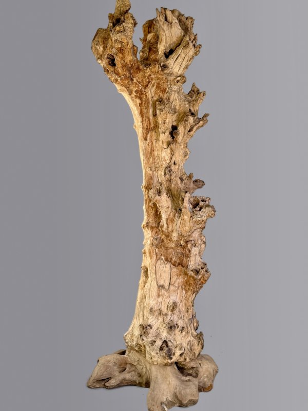 Skulptura z kmene dřeva gamalwood – výška 200 cm