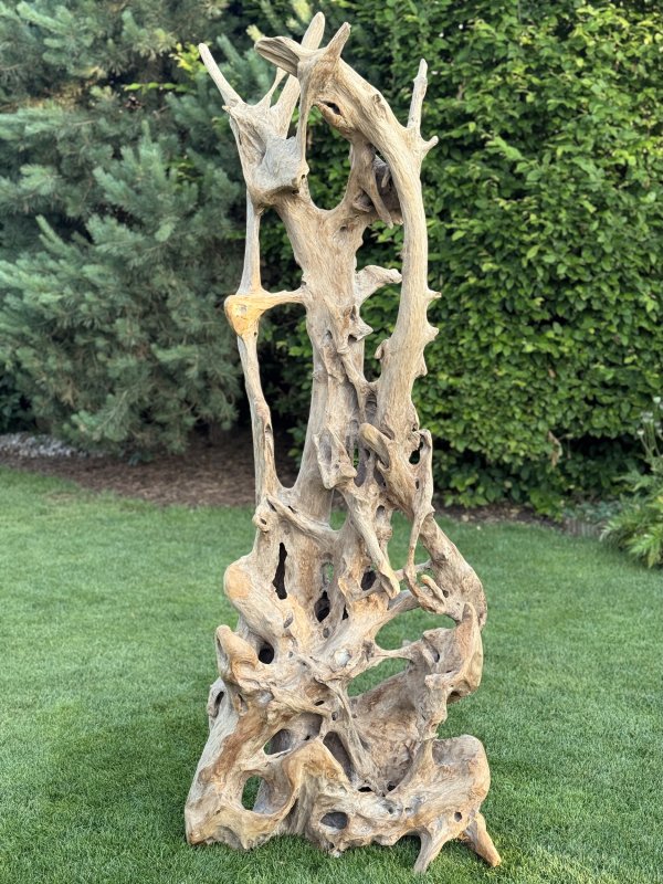 Přírodní socha z teakového kořene – výška 220 cm
