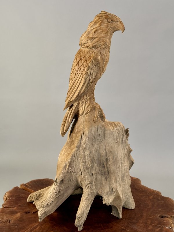 Socha Sedící orel - teakový kořen 83 cm