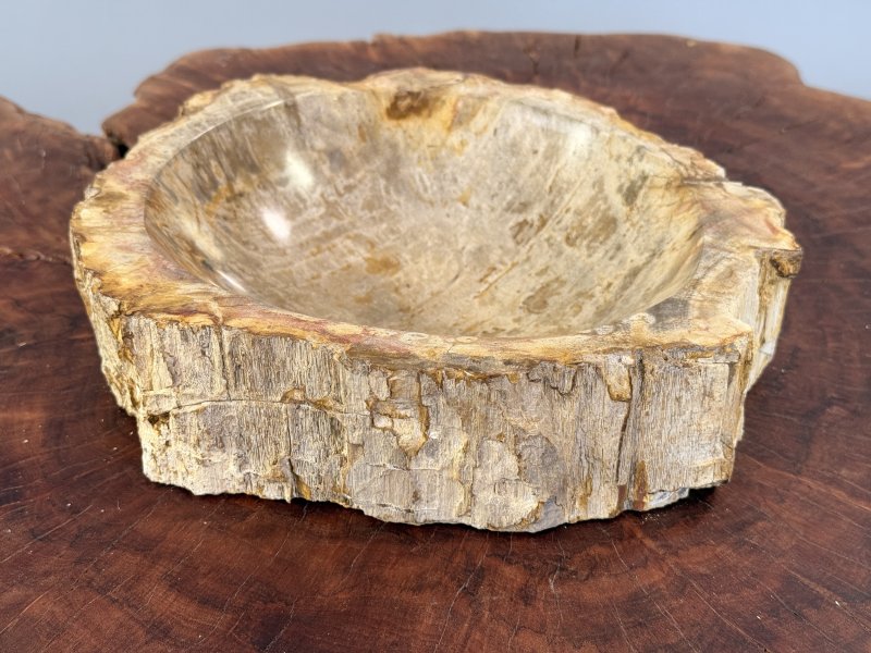 Fosilní miska ze zkamenělého dřeva 27 cm – Bali