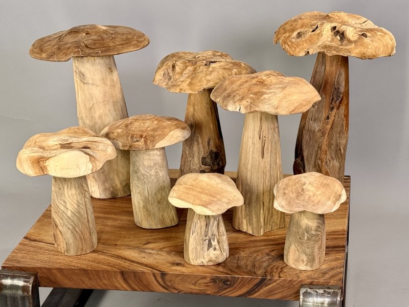 Dekorativní houba z teakového kořenového dřeva – 20 až 50 cm, Jáva